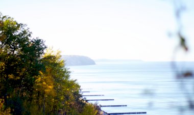 Душевная осень Калининграда