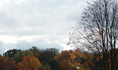 Золотой октябрь в Калининградской области