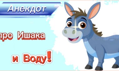 Анекдот про Ишака и Воду!!!