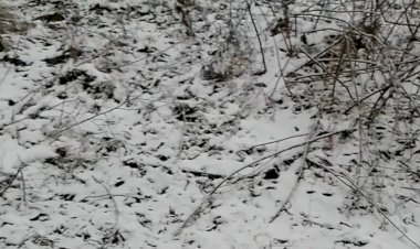 Видеорепортаж " и Снова все о том же"