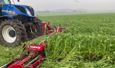 Тотальная утилизация промежуточных культур