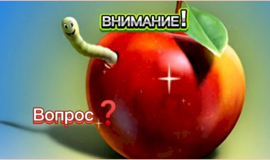 ВНИМАНИЕ!!! Вопрос??!!