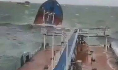 Чёрное море прощай?