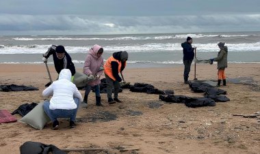 Простые волонтёры с нефтью не справляются!