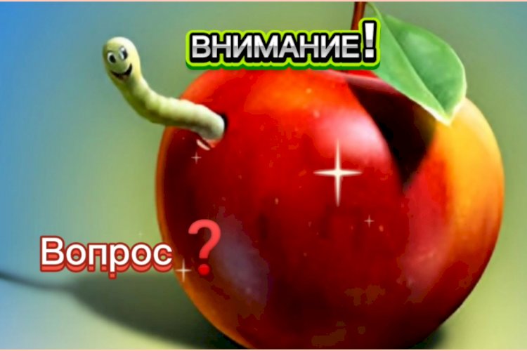 ВНИМАНИЕ!!! Вопрос??!!