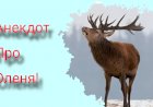 Анекдот про Оленя!!!
