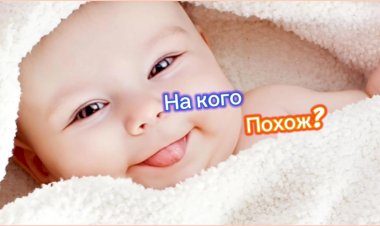 На кого похож???