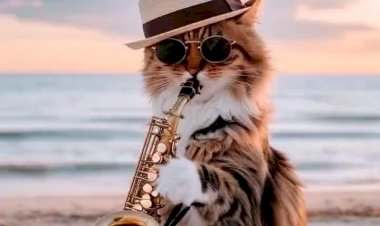 Кот виртуозно играет на саксофоне