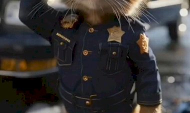 Отважные щенята и котята стоят на страже закона и порядка