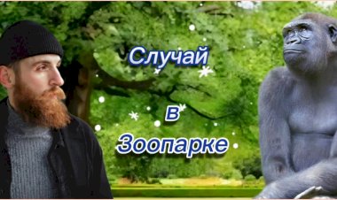 Случай в ЗООПАРКЕ!!!