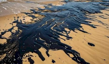 Мазут - повод отдохнуть и позагорать в Анапе?