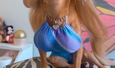 К выходным готова