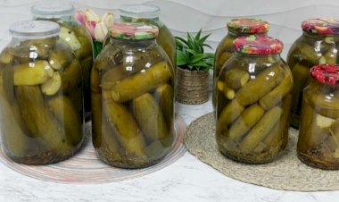 Приготовление маринованных огурцов. Легкий рецепт маринованных огурчиков