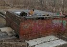И снова о бездомках