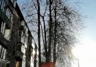 Торжество природы несмотря на заморозки)