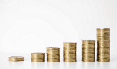 Инвестиции: Путь к финансовой свободе