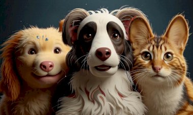 Какое домашнее животное лучше завести: Выбор между пушистыми и пернатыми друзьями