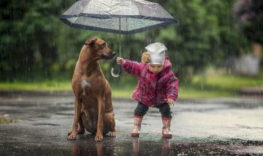 Когда своевременная помощь и не равнодушие может спасти чью то жизнь