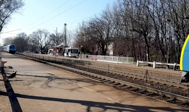 Озорная собака и встречные поезда