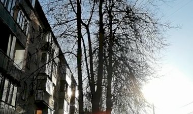 Торжество природы несмотря на заморозки)