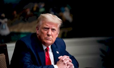 Дональд Трамп: бизнесмен в шкуре политика и... путешествия во времени