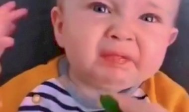 Дети пробуют цитрусовые