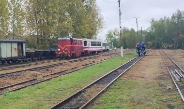 Узкоколейная ж/д в Силезии, поезда в депо Бытом-Узкоколейная