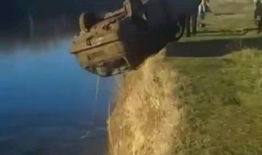 Рыбы в машине