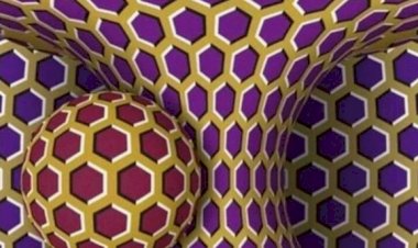 Тест. Применение оптических иллюзий на практике