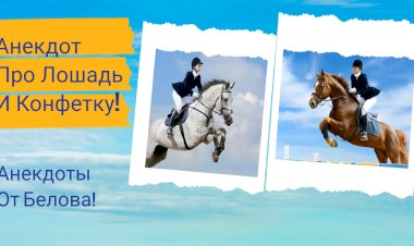 Анекдот про Лошадь и Конфетку!!!