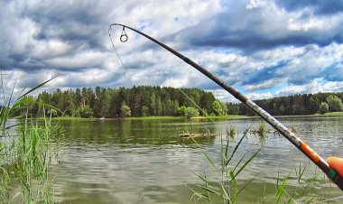 Про рыбалку