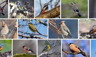 Заходите в гости к нам! - кафе "Лесное"