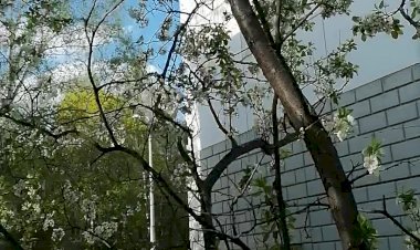 Наконец то Она! Весна!