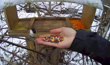 Оно того стоило!