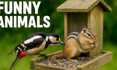 Непробиваемая защита