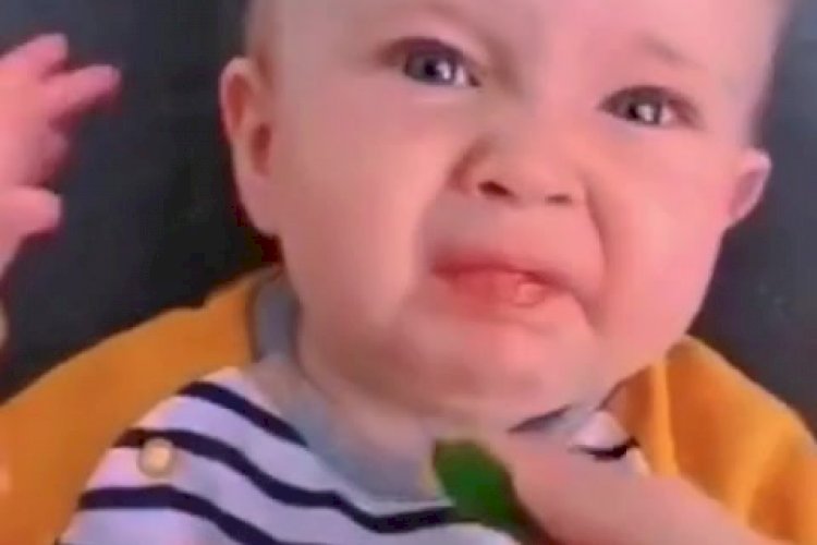 Дети пробуют цитрусовые