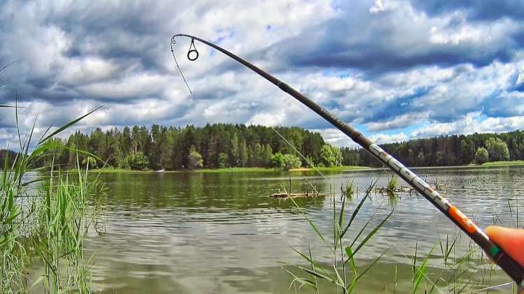 Про рыбалку