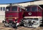 Германия, тепловозы М62 и ТЭ109 стоят в музейном депо, звук моторов