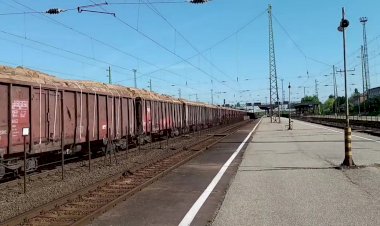 Электровоз Шкода 242 243-4 везёт вагоны с лесом