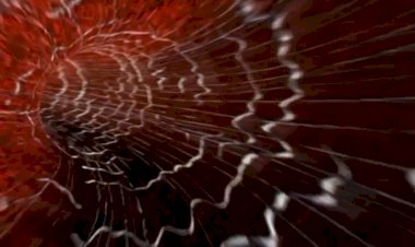 Лукреций про богов и гравитацию (l до н.э.)