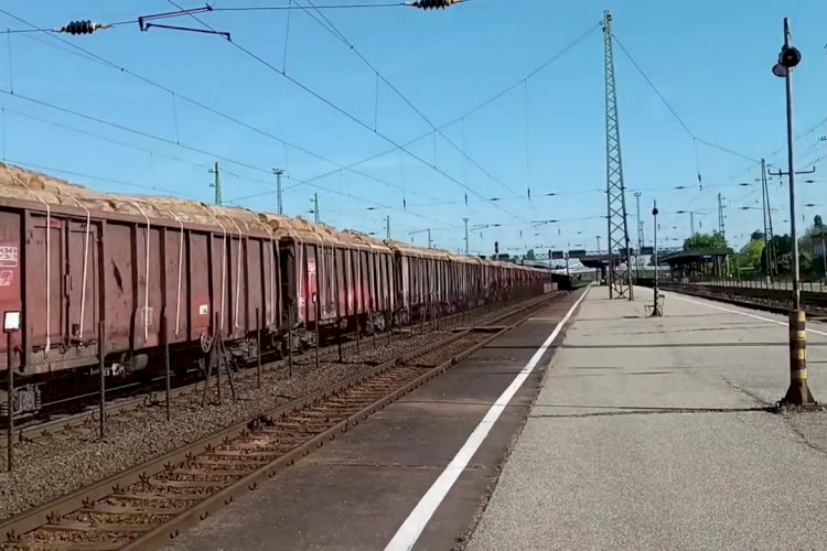 Электровоз Шкода 242 243-4 везёт вагоны с лесом