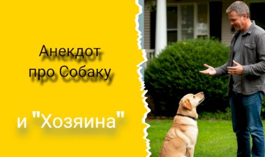 Анекдот про Собаку и "Хозяина"!