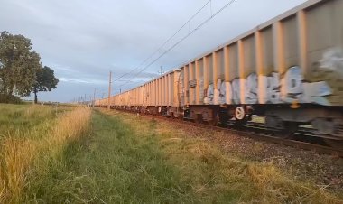 Электровоз E6ACTadb -029 дракон с полувагонами