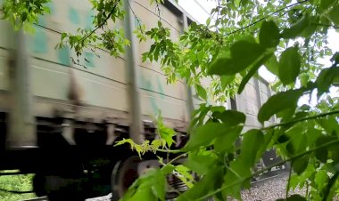 Во время дождя, Электровоз ВЛ11.8-806/805 Б с грузовым поездом