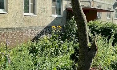 Июльский лилейный фейерверк