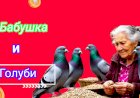 Бабушка и Голуби!