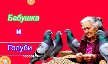 Бабушка и Голуби!