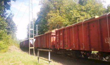 Тепловоз М62 628 332 с полувагонами груженными лесом