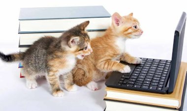 Лендинг, который продаёт и не бесит