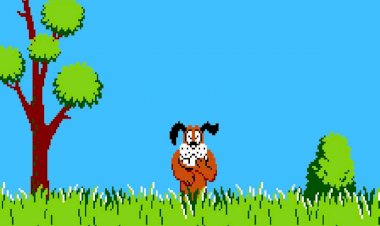 Duck Hunt: как убить всех уток и ни разу не промахнуться?